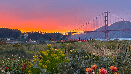 Scoutbee advances vision with core product shift and move to SF